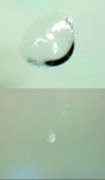 Comparison of a bullseye chip before and after being repaired