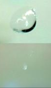 Bullseye chip repair before and after