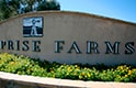 Surprise Farms welcome
